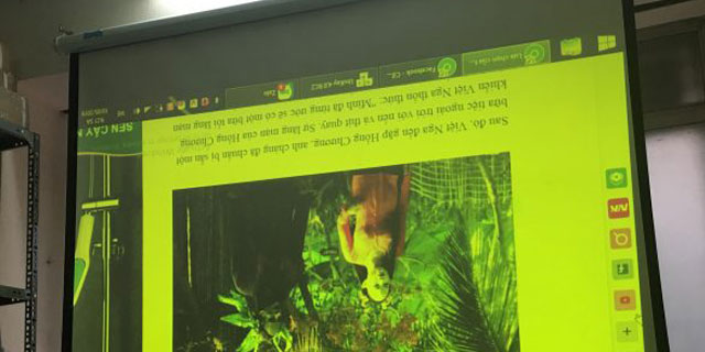 Lỗi mất màu ở máy chiếu Epson