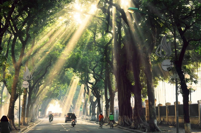 Cho thuê máy chiếu ở Hà Nội
