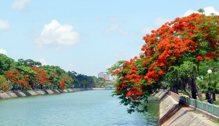 Cho thuê máy chiếu tại Hải Phòng