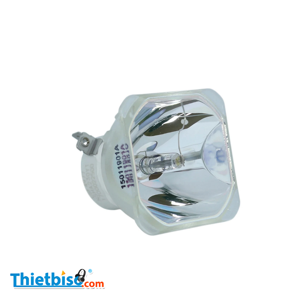 Bóng đèn máy chiếu Panasonic PT-VX415NZ