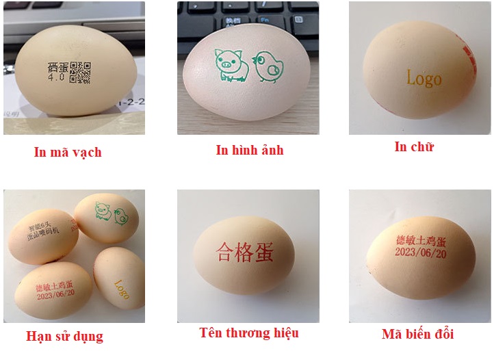 in đa dạng trên Máy in date trên trứng 6 đầu phun tự động (1)