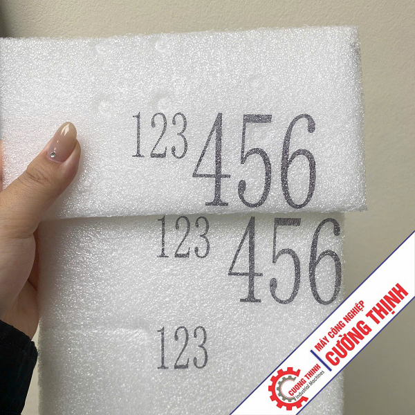 Máy in phun date tự động S20-2  Khổ in 5.08cm