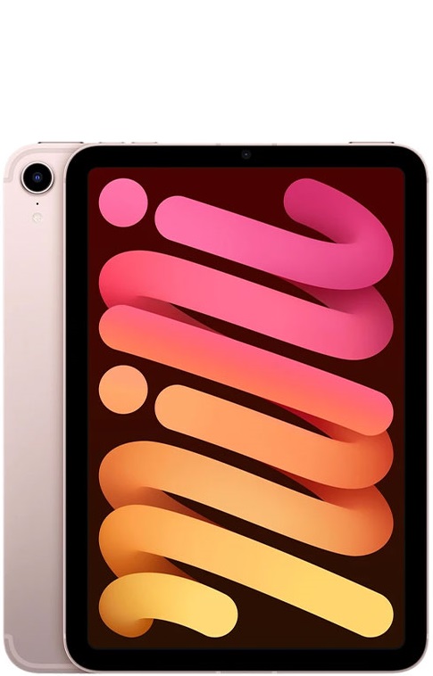iPad Mini 6 256GB Used