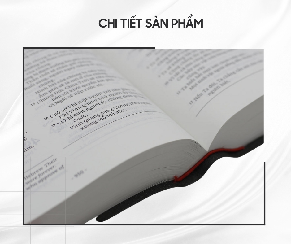 Kinh Thánh song ngữ Anh-Việt, Bản ESV-Bản Hiệu Đính