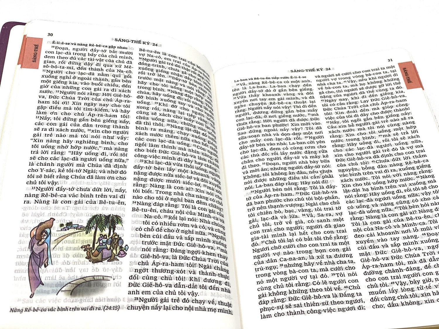 Kinh Thánh Bản dịch 1925 Mạ Vàng Cỡ Trung 12x18cm (Có Hình Ảnh Màu Minh Họa)