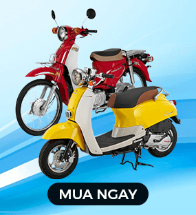 Sale mạnh tới 50%