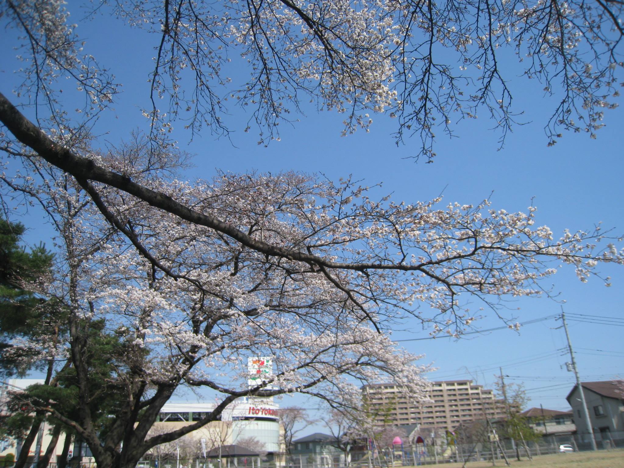 Đại học Utsunomiya - Du học Nhật Bản Haru