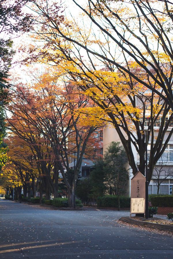 Đại học Saitama - Du học Nhật Bản Haru