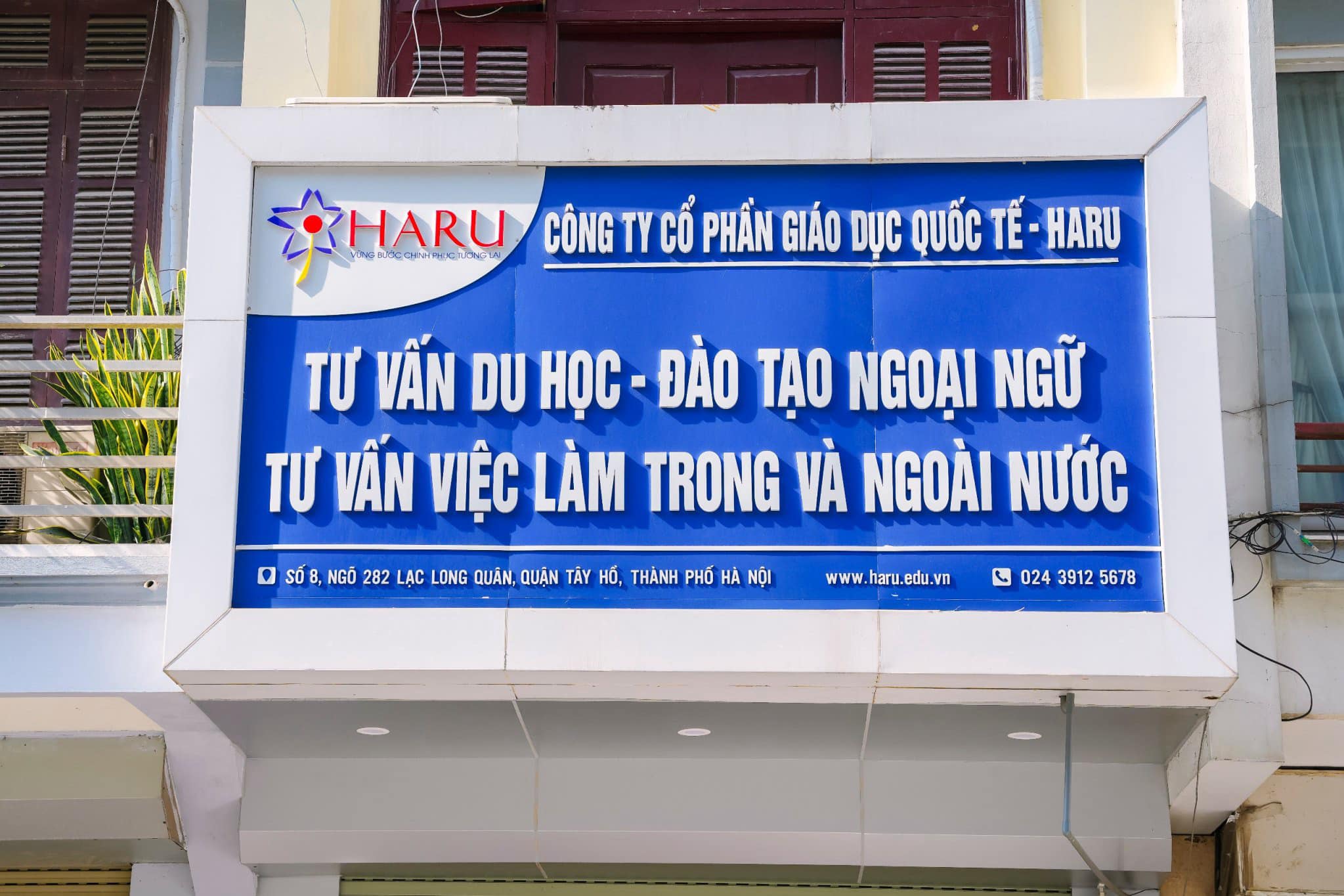JLPT N3: Chứng Chỉ Vàng Cho Người Học Tiếng Nhật | Haru Nihongo