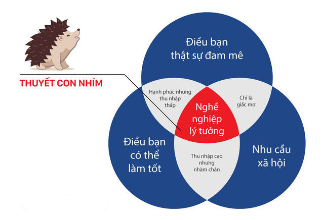 Vì sao 'Thuyết Con Nhím' lại quan trọng cho trẻ? |  HARU