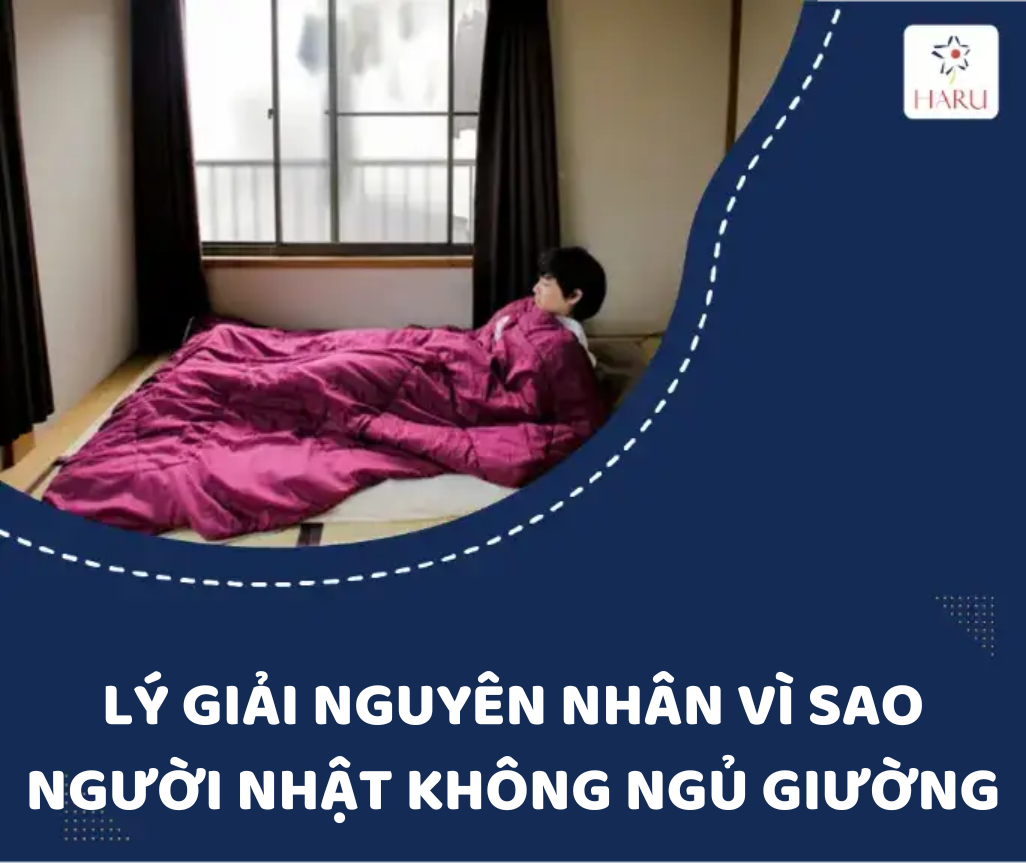 LÝ GIẢI NGUYÊN NHÂN VÌ SAO NGƯỜI NHẬT KHÔNG NGỦ GIƯỜNG