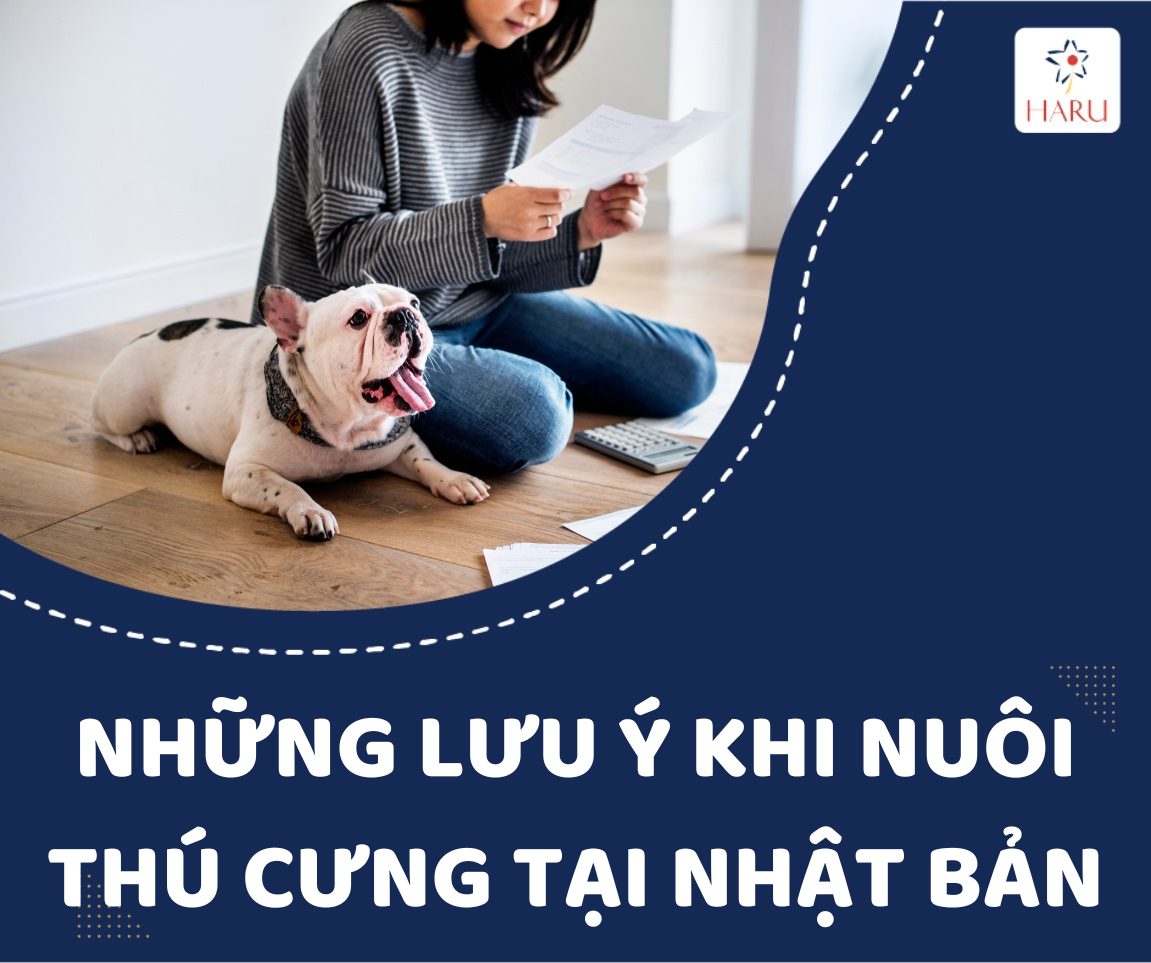 NHỮNG LƯU Ý KHI NUÔI THÚ CƯNG TẠI NHẬT BẢN