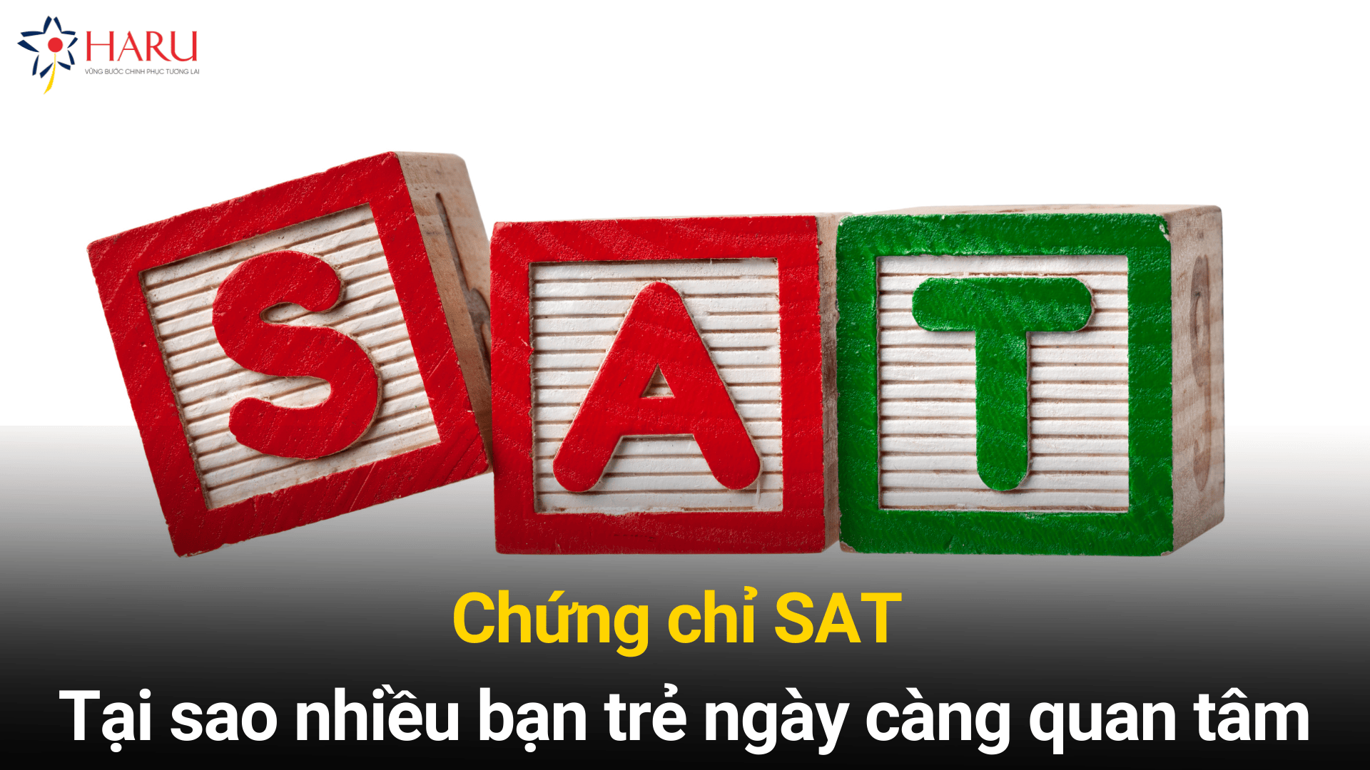 Chứng chỉ SAT - Tại sao nhiều bạn trẻ ngày càng quan tâm