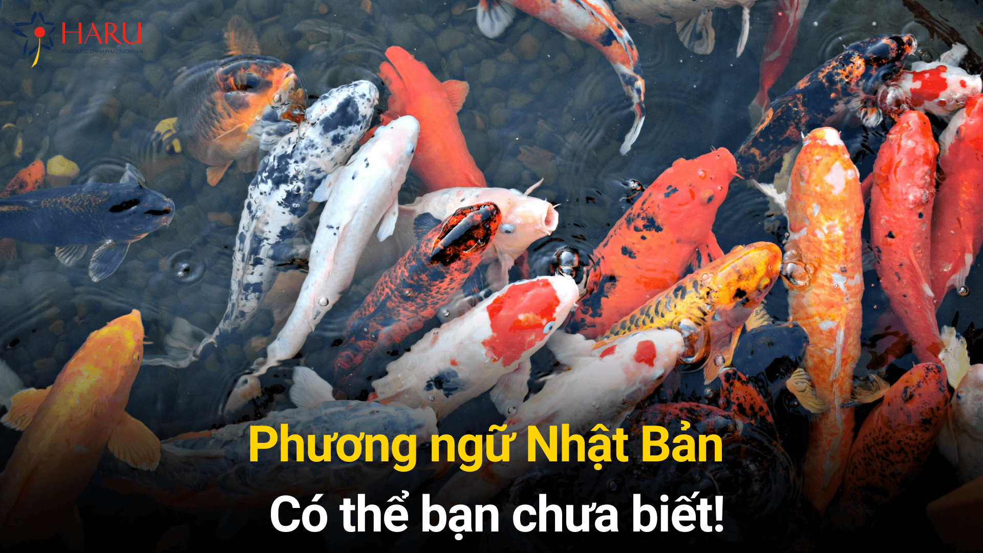 Phương ngữ Nhật Bản - Có thể bạn chưa biết!