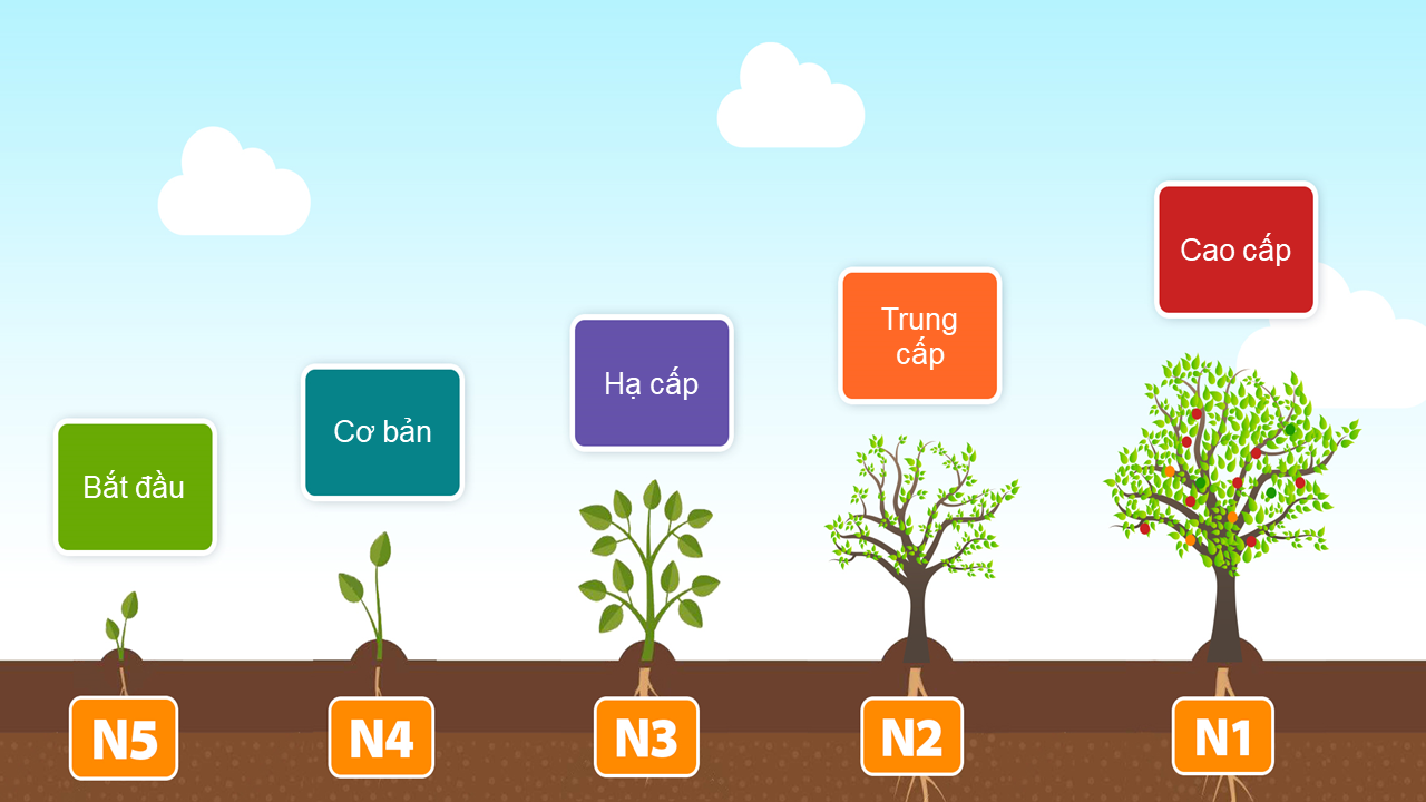 Xếp hạng các cấp độ JLPT trong tiếng Nhật như thế nào?