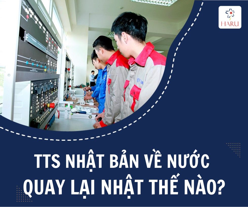 THỰC TẬP SINH NHẬT BẢN VỀ NƯỚC QUAY LẠI THẾ NÀO?