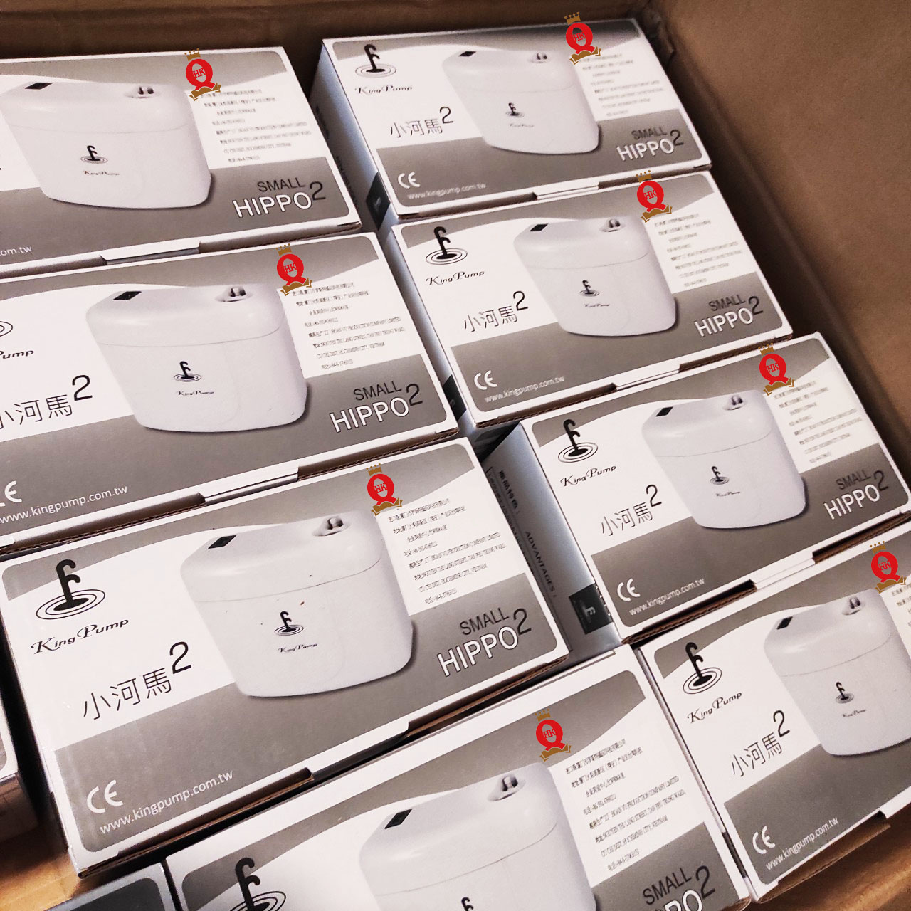 Máy bơm nước ngưng điều hòa King Pump Hippo 3M - Hộp thoát nước máy lạnh SMALL HIPPO N Kingpump