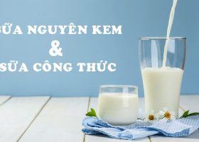 Sữa nguyên kem là gì? Sự khác biệt sữa nguyên kem và sữa công thức