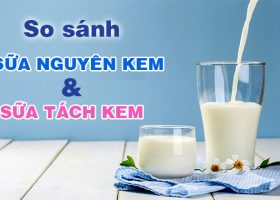 So sánh sữa Nguyên Kem và sữa Tách Béo loại nào tốt hơn?