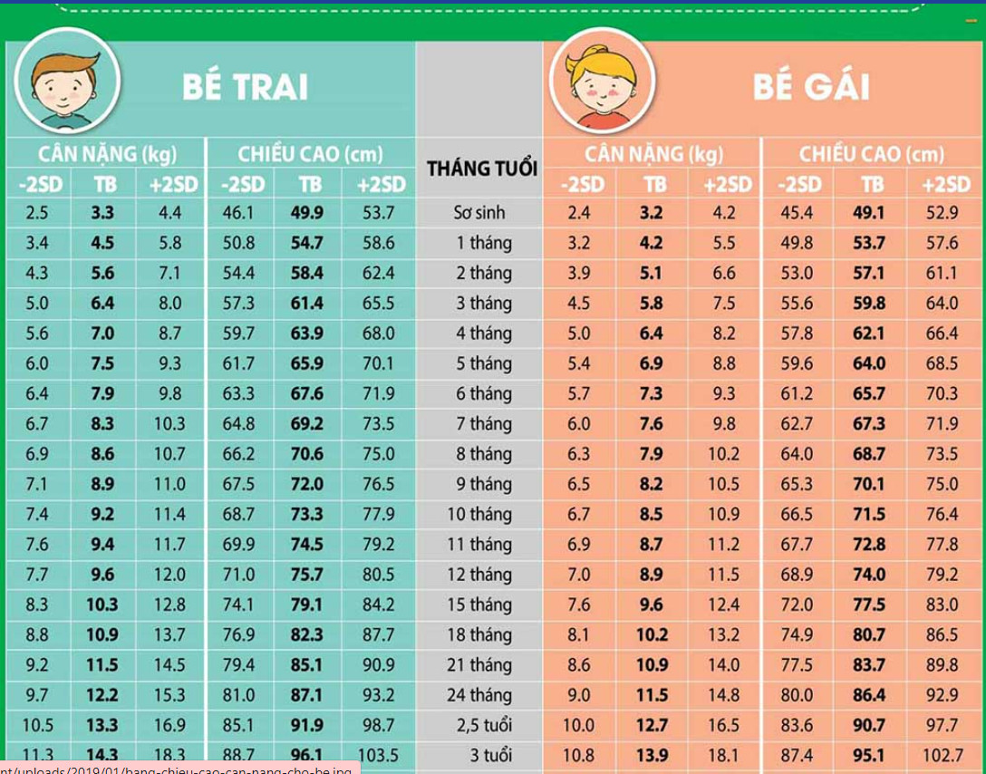 Bảng Chiều Cao Cân Nặng Của Trẻ từ 0 đến 10 tuổi chuẩn WHO