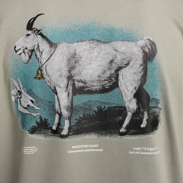 Nike ACG Men's Dri-FIT All Conditions Goat Grey [FV3492-053] Nike ACG Men's Dri-FIT All Conditions Goat Grey [FV3492-053]