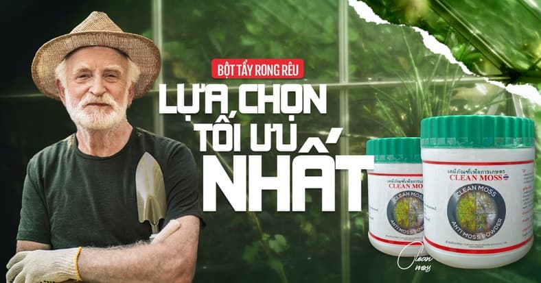 Ant Điện Máy