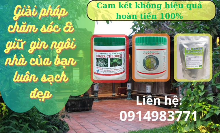 Diệt rong rêu, khử khuẩn