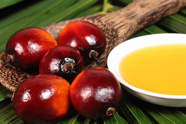 DẦU CỌ THÔ