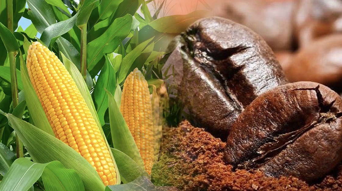 Giá cà phê lập kỷ lục lịch sử mới, giá lúa mì lao dốc 2%