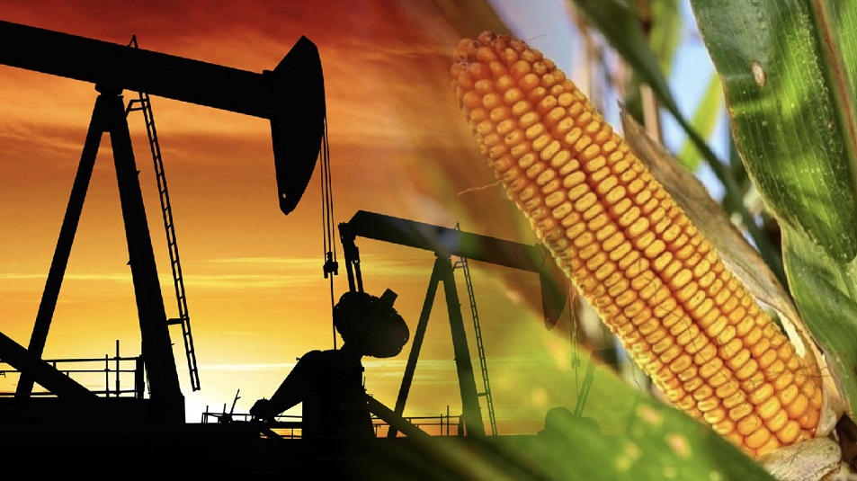 Sắc xanh lan tỏa, chỉ số MXV-Index tiếp đà phục hồi