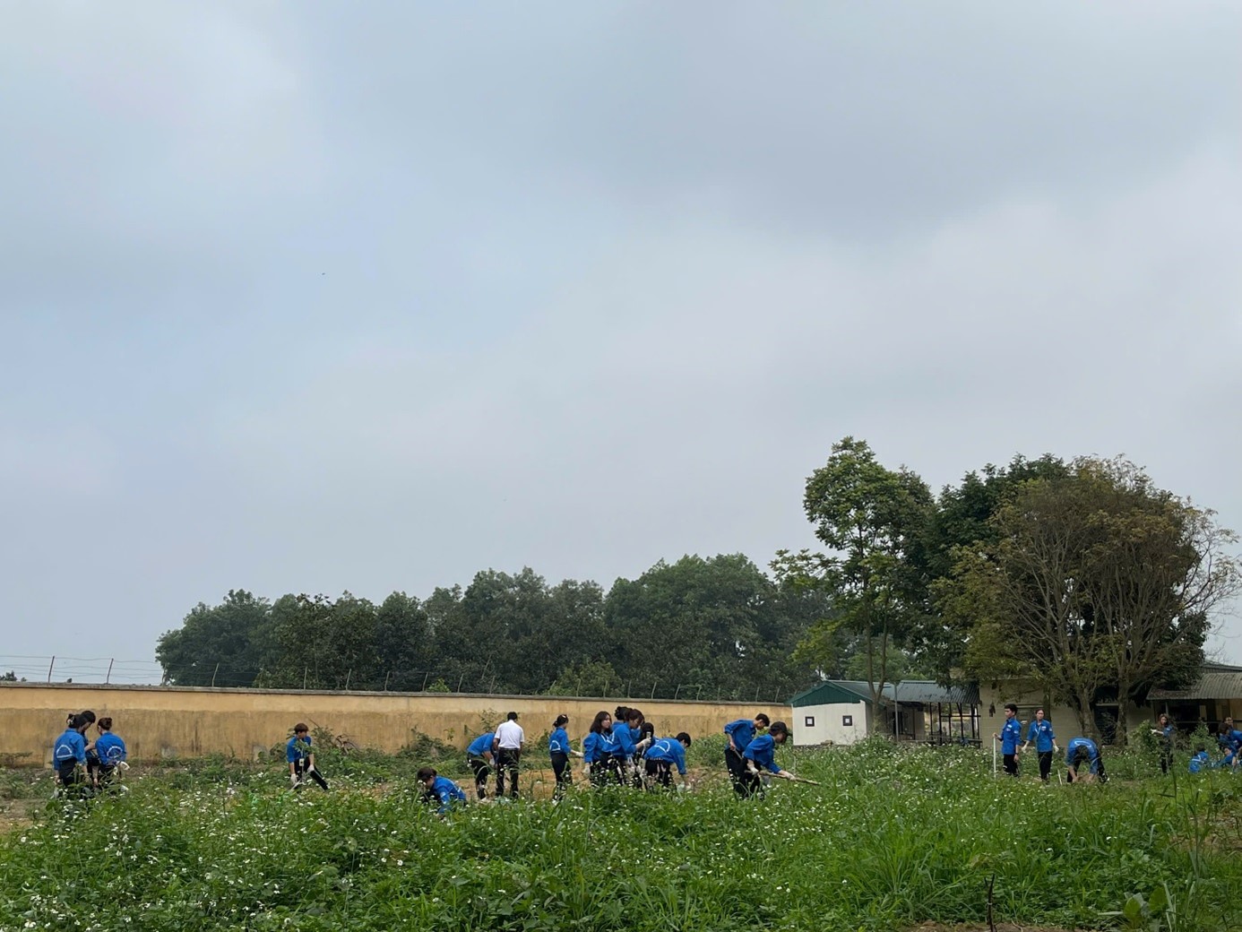 Tuổi trẻ Trung tâm chào mừng 70 năm Ngày giải phóng Thủ đô  (10/10/1954 - 10/10/2024)