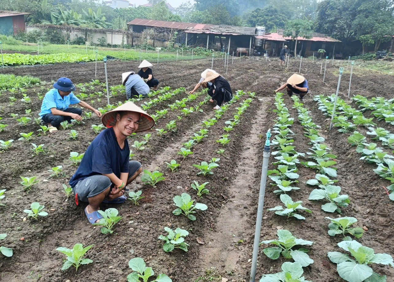 HÀNH TRÌNH PHỦ XANH MẢNH ĐẤT CẰN CỖI TỪ HOẠT ĐỘNG LAO ĐỘNG TRỊ LIỆU