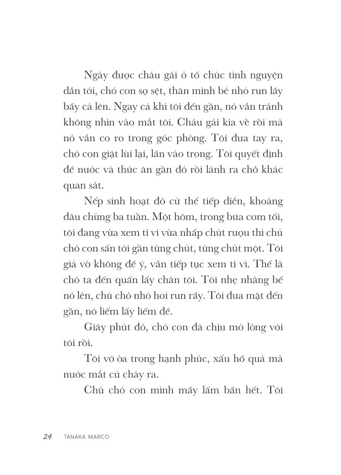 Một Mai Thư Sẽ Đến Vương Quốc Loài Chó