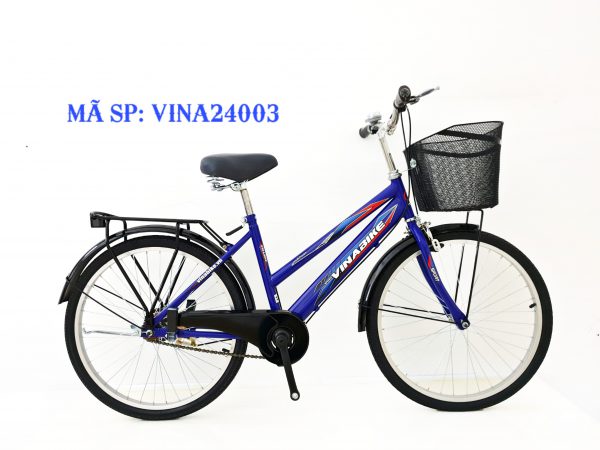 Xe VNB Dragon 24 – V1