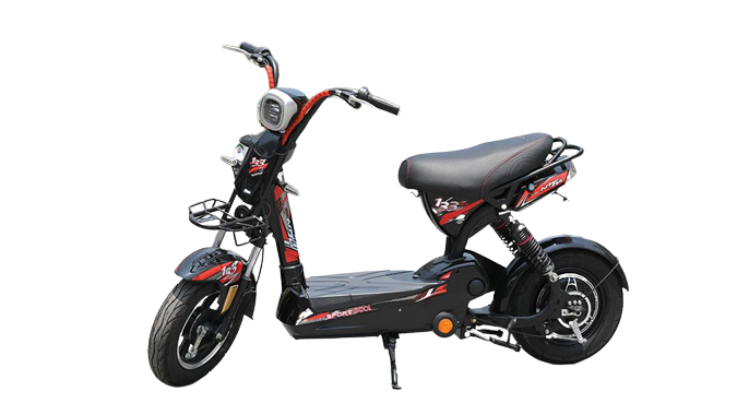 Xe Đạp Điện Nijia 133C