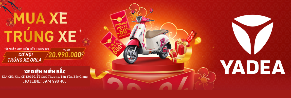 HOT SALE - Sập Sàn