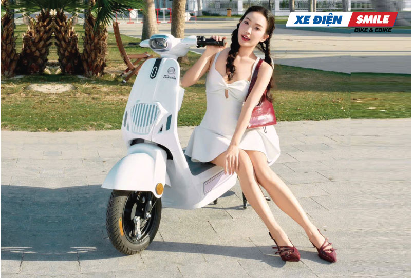 Ưu điểm nổi bật của xe đạp điện 4 bình 