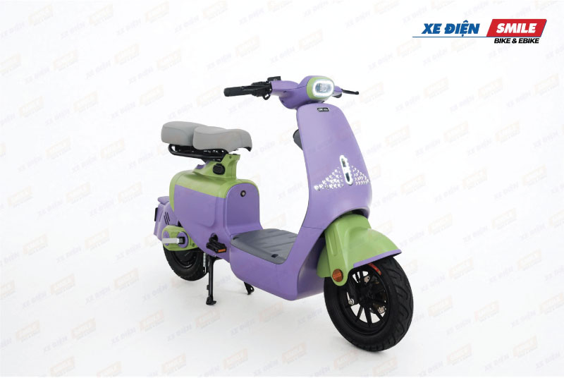 Xe điện DK S2