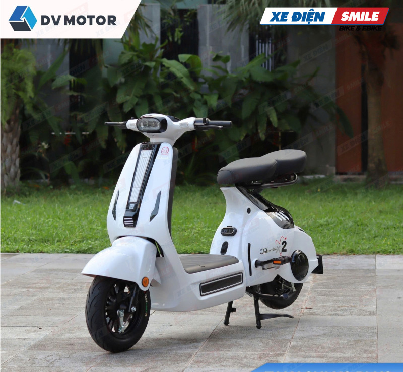 DV Motor, một trong những thương hiệu xe điện nổi tiếng, uy tín 