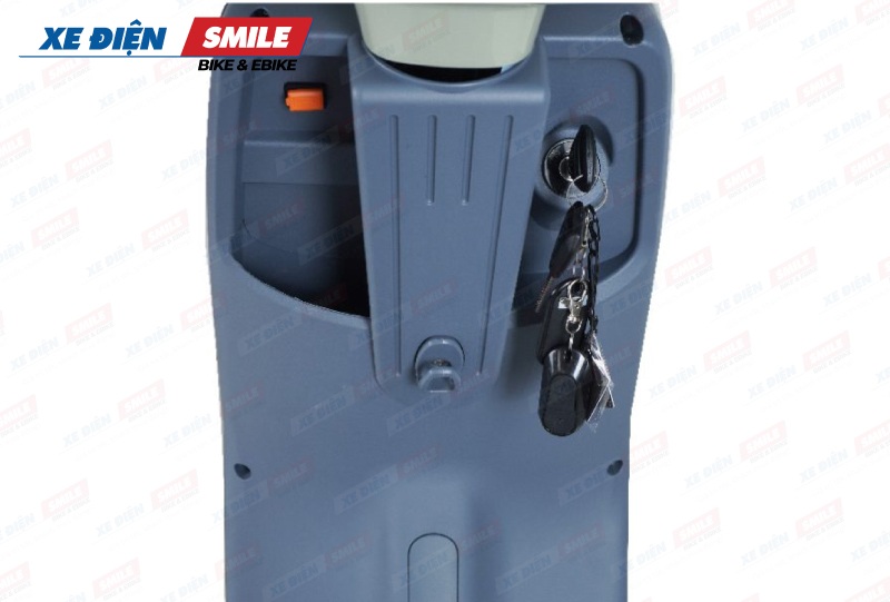 Yếm sau JVC G9 Dior thiết kế độc quyền