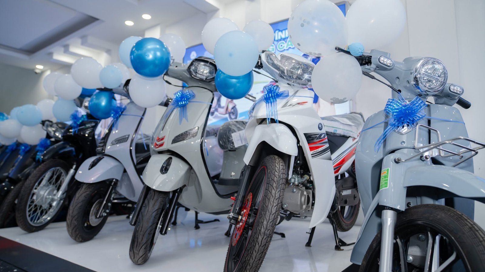 Dàn xe máy điện bày trong showroom chi nhánh Bình Phú