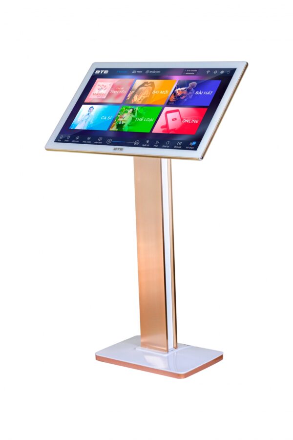 Đầu karaoke liền màn hình BTE® E688