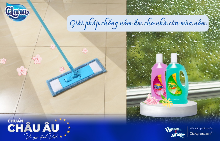 Giải Pháp Chống Bí Quyết Chống Nồm Ẩm Hiệu Quả Cho Ngôi Nhà Của Bạn