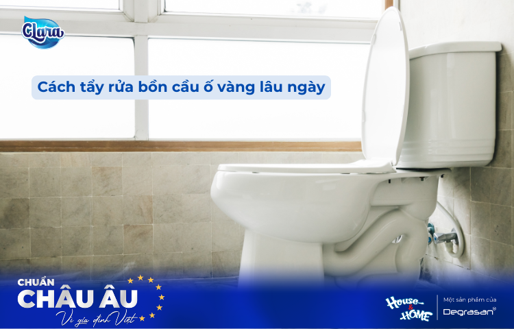 Cách Tẩy Bồn Cầu Bị Ố Vàng Lâu Ngày - Giải Pháp Hiệu Quả Nhanh, An Toàn