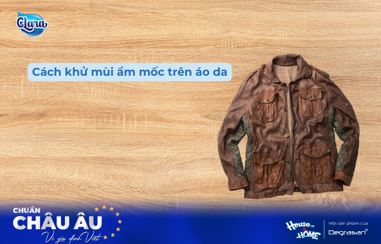 Cách Khử Mùi Ẩm Mốc Trên Áo Da Hiệu Quả Mà An Toàn