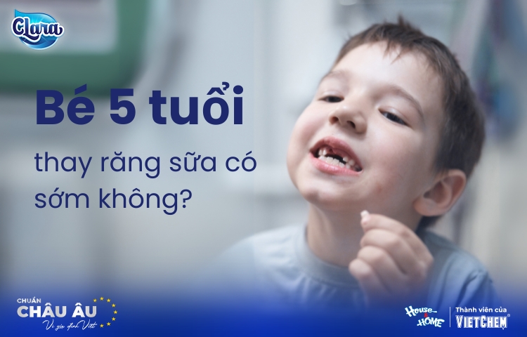 Bé 5 tuổi thay răng sữa có sớm không? Những điều cha mẹ cần biết