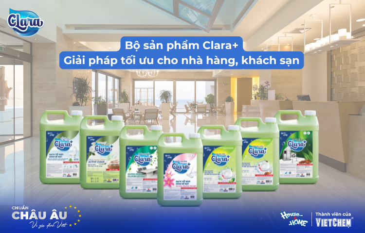 Dòng Sản Phẩm Clara+: Giải Pháp Vệ Sinh Chuyên Dung Cho Nhà Hàng, Khách Sạn Mùa Du Lịch Cao Điểm