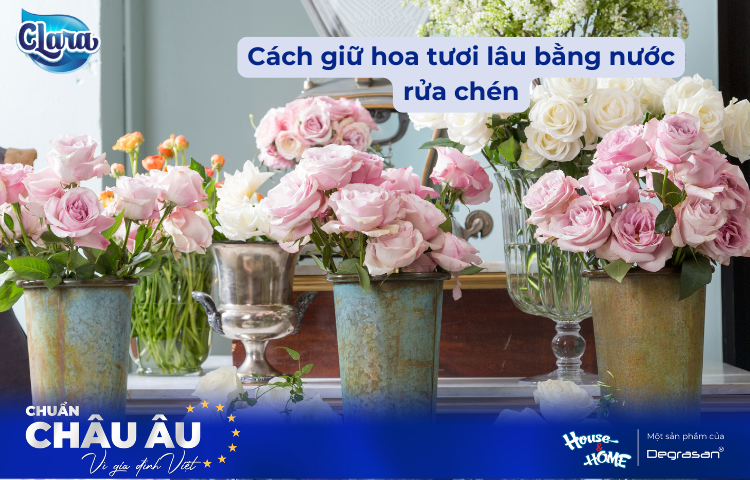 Cách Giữ Hoa Tươi Lâu Bằng Nước Rửa Chén - Bí Quyết Hiệu Quả Từ Chuyên Gia