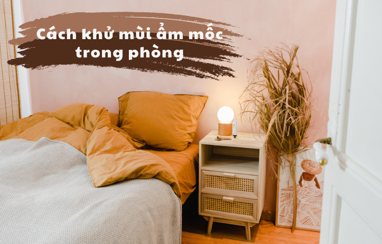 Cách khử mùi ẩm mốc trong phòng siêu đơn giản