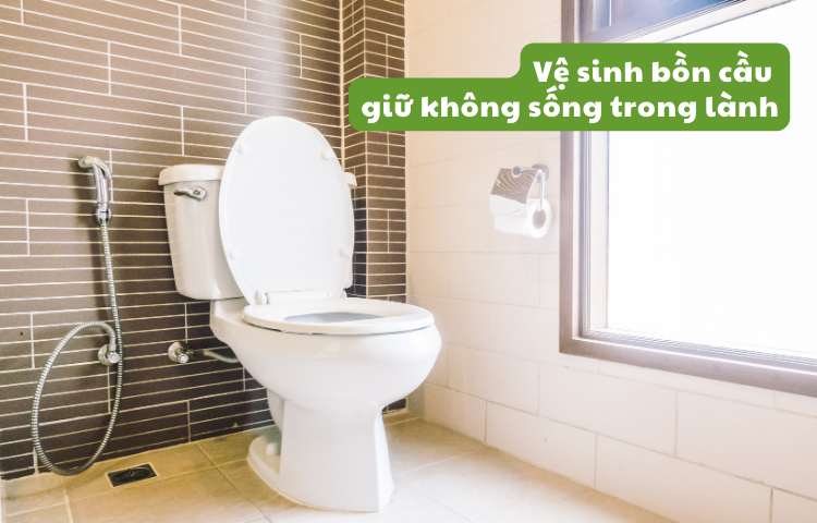CÁCH LÀM SẠCH BỒN CẦU HIỆU QUẢ - GIỮ GÌN KHÔNG GIAN SỐNG